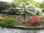 stone wall and curb